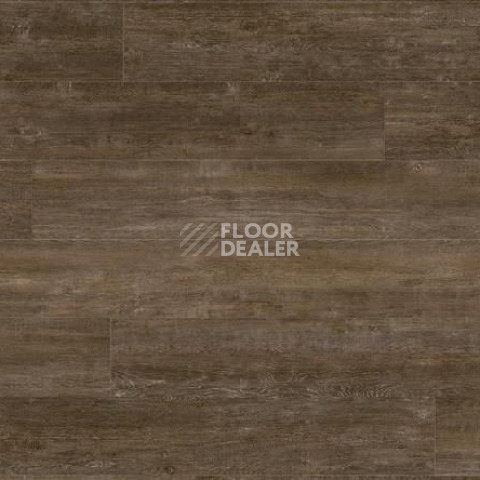 Кварцвиниловые полы Gerflor Creation 70 0804 Solid Glam Sherwood фото 1 | FLOORDEALER